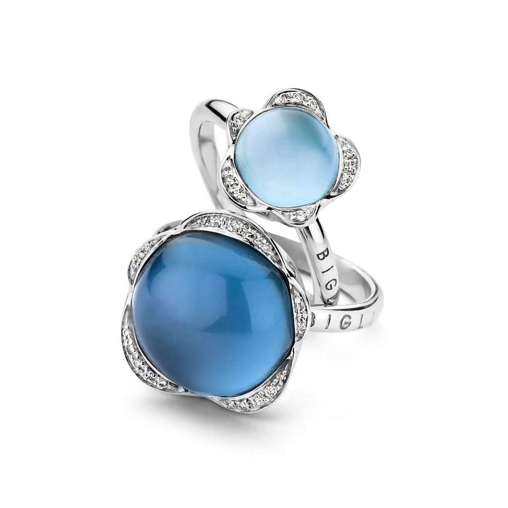 BIGLI_PRES_2016_0022 (2)