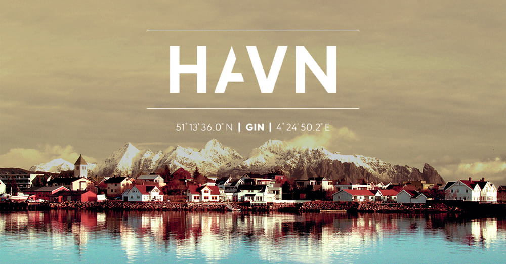 HAVN-gin-image-with-logo