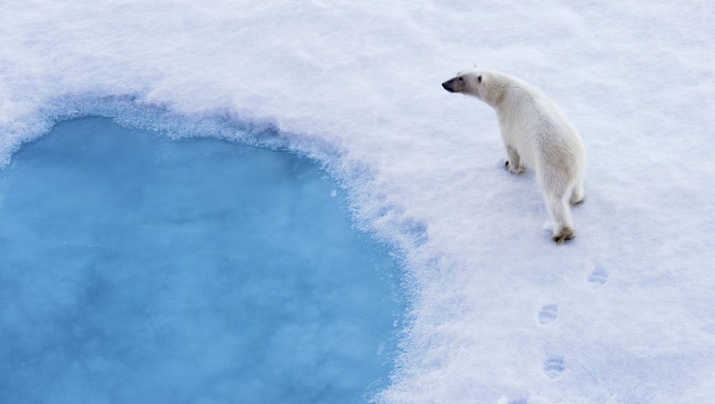 breitling ocean conservancy samenwerking partnership Pure Luxe