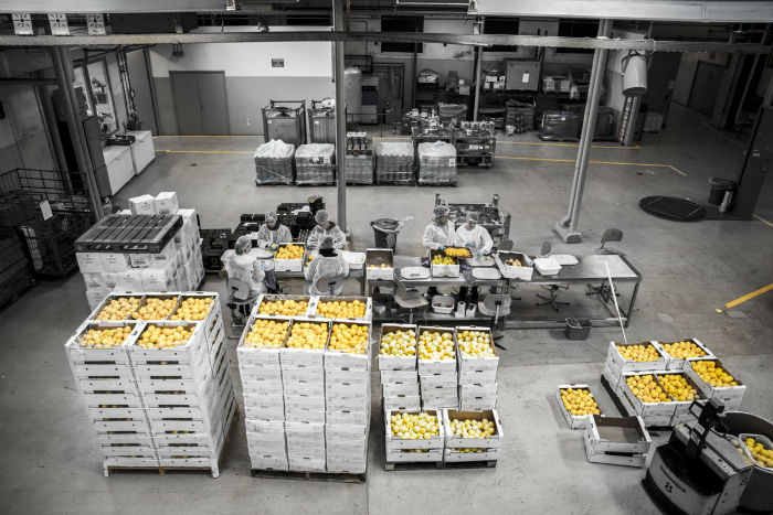 fiorito limoncello drank Nederland World spirits awards Pure Luxe