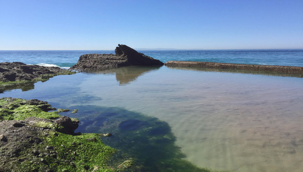Villa Laguna Beach Pure Luxe