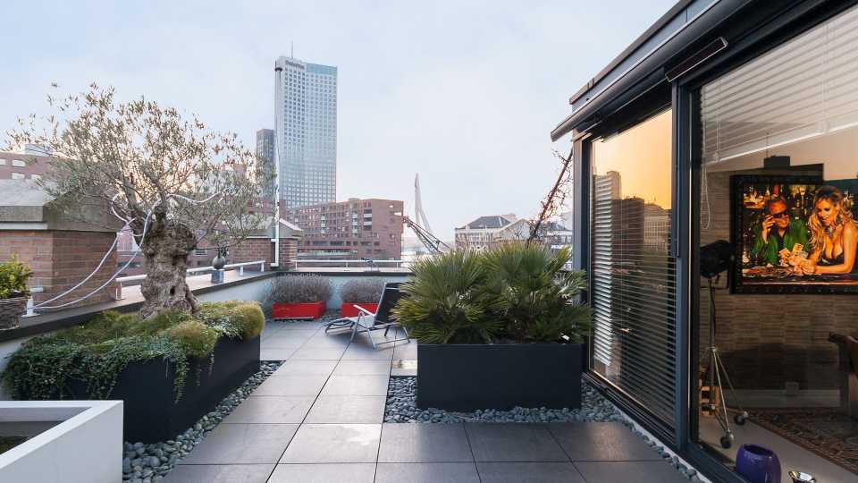 dakterras