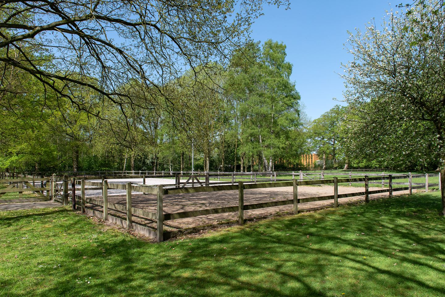 paardenbak