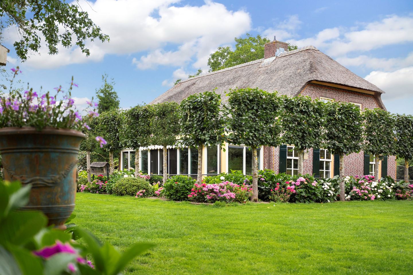 Alpaca-woonboerderij-